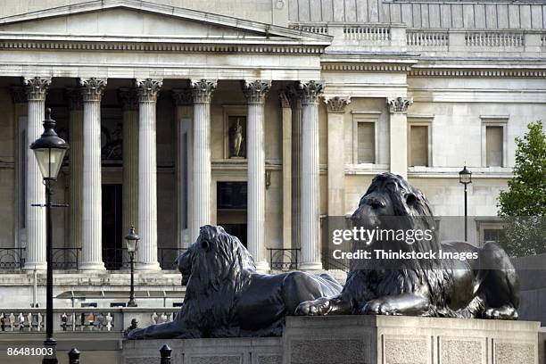 lion statues in trafalgar square, london, england - trafalgar square stock pictures, royalty-free photos & images