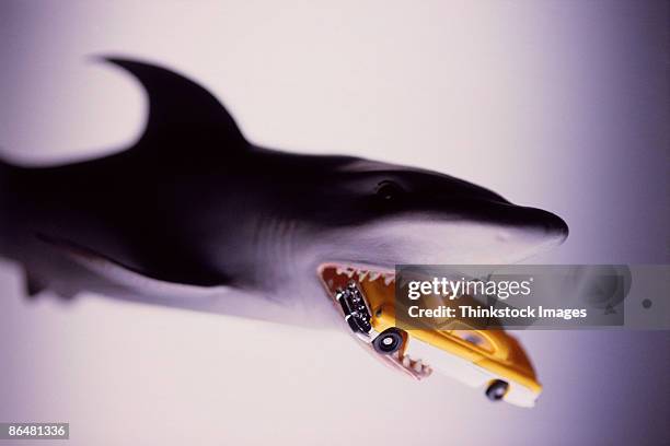 850 Shark Funny Photos and Premium High Res Pictures - Getty Images 850 Shark Funny Photos and Premium High Res Pictures - Getty Images