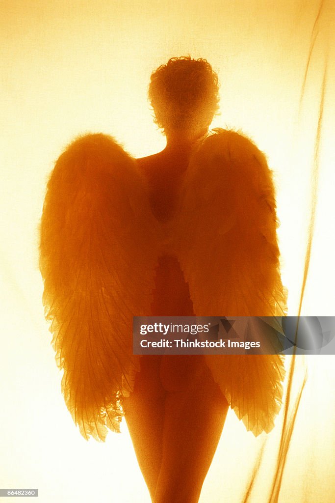 Rear view of woman wearing angel wings