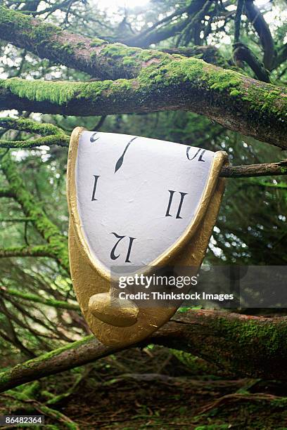 melted clock on tree - salvador dali fotografías e imágenes de stock