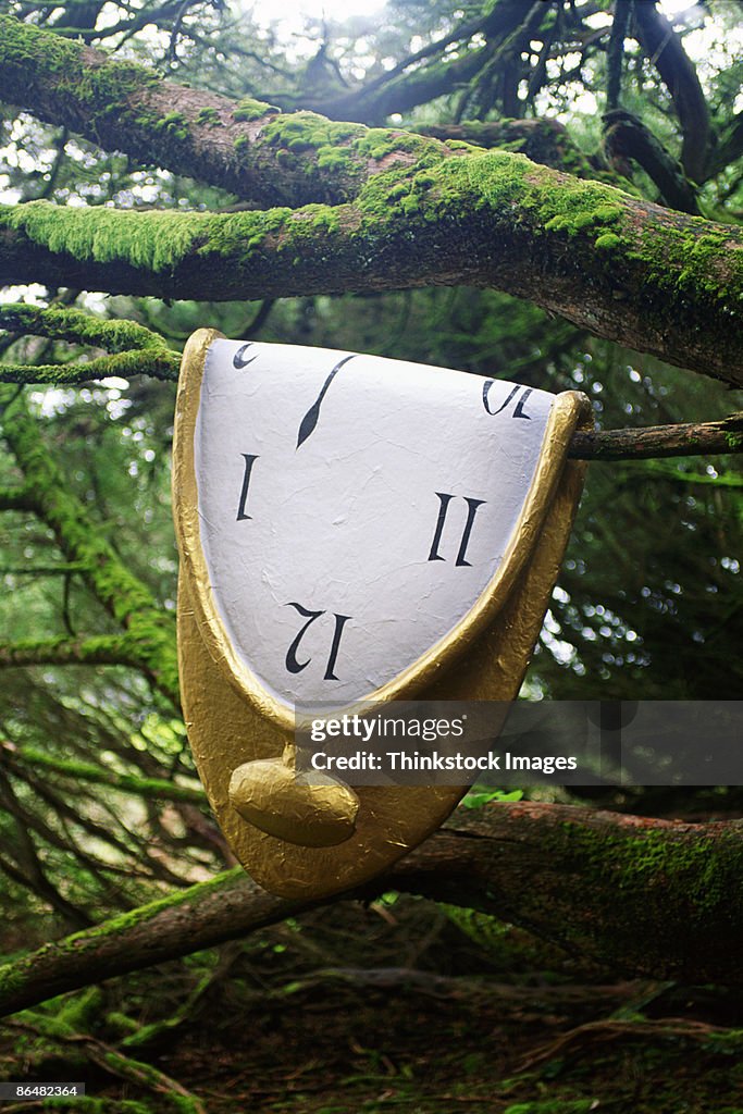 Melted clock on tree