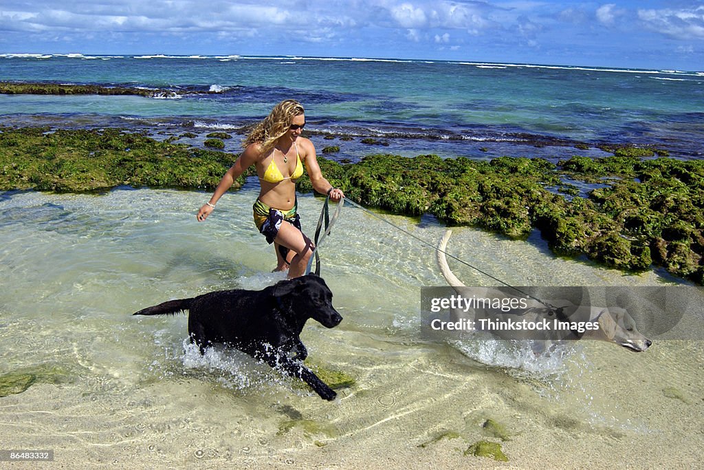 Woman walking dogs through tide pool