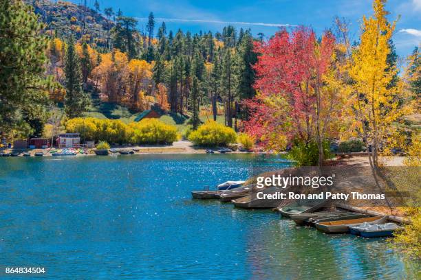 san bernardino county with autumn backit oak tree forest at green valley lake , ca (p) - san bernardino county stock pictures, royalty-free photos & images
