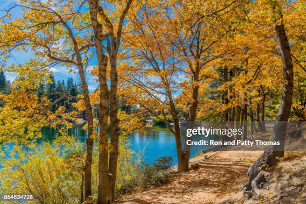 san bernardino county met herfst backit eik bos op green valley lake, ca - san bernardino california stockfoto's en -beelden