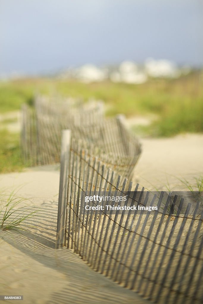 Wooden fence