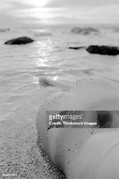 backside of woman with tattoo on beach - butterfly tattoos stock pictures, royalty-free photos & images