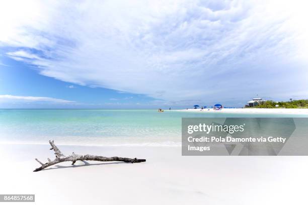 clam pass park at naples pier and calm ocean, florida - nápoles florida fotografías e imágenes de stock