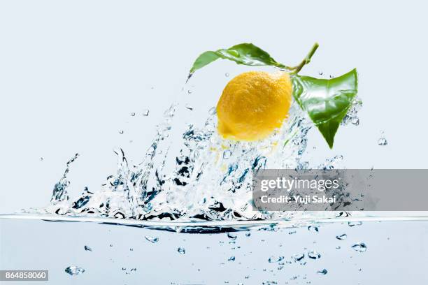 lemon jump out from water. - splashed water leaf stock-fotos und bilder