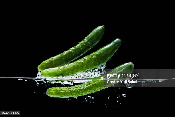 cucumbers jump out from water. - cucumber foto e immagini stock