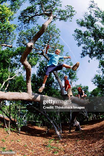 boy jumping off fallen tree - tree trunk wide angle stock pictures, royalty-free photos & images