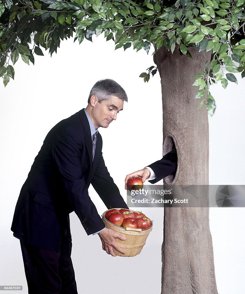 Hand inside tree gives businessman apples