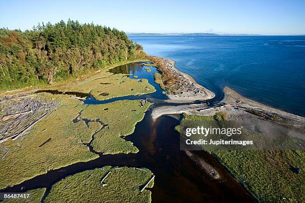 aerial view of delta - bainbridge island wa stock pictures, royalty-free photos & images