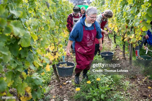 Nun Thekla of St. Hildegard Abbey and volunteers harvest grapes for their annual vintage on October 04, 2017 near Rudesheim on the Rhine, Germany....