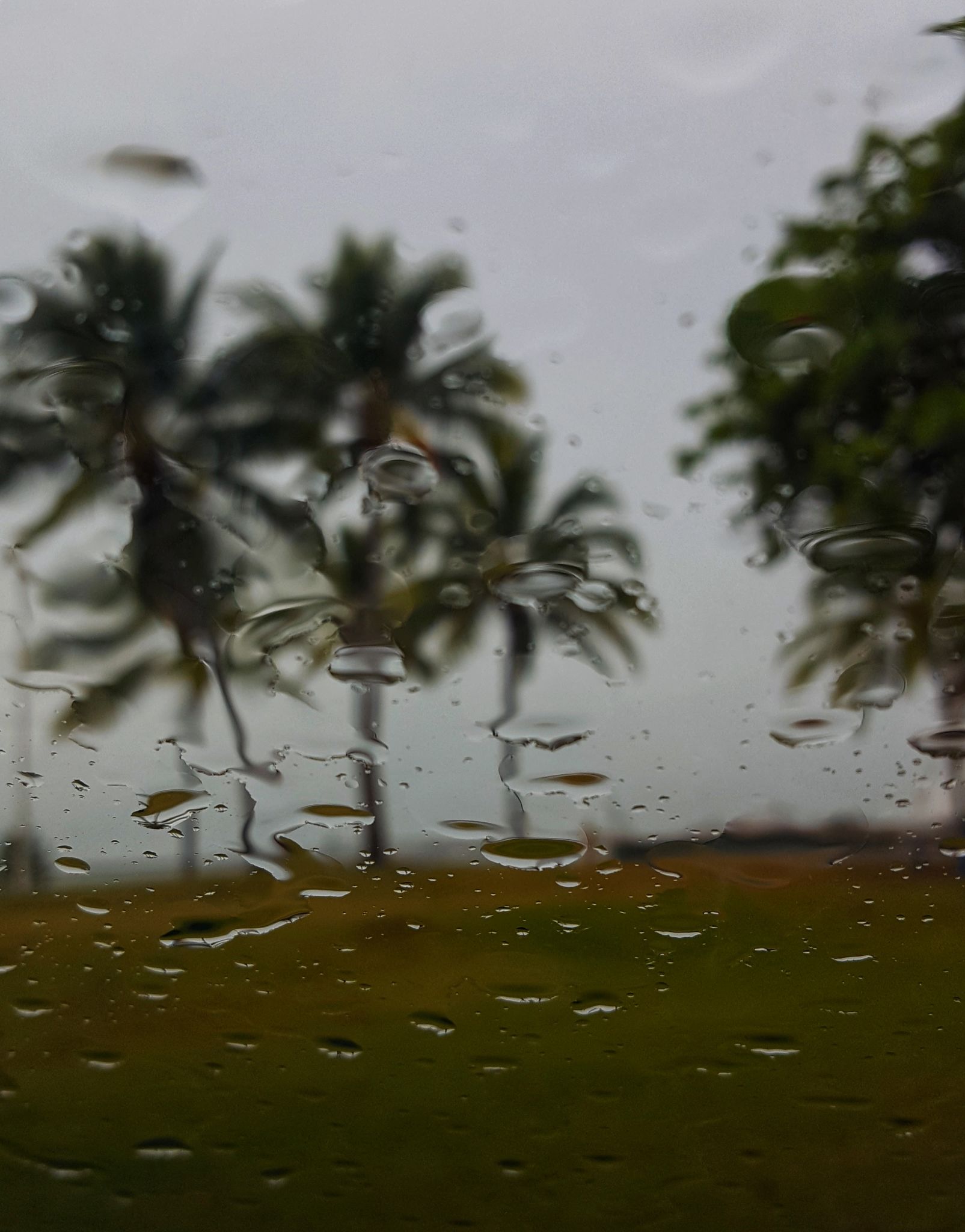 rainy townsville