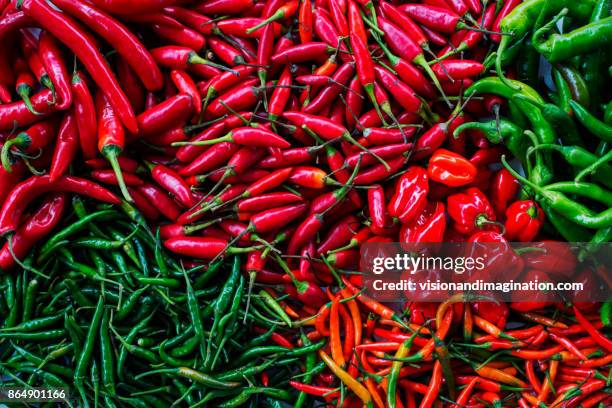 chilly - peperoncino foto e immagini stock