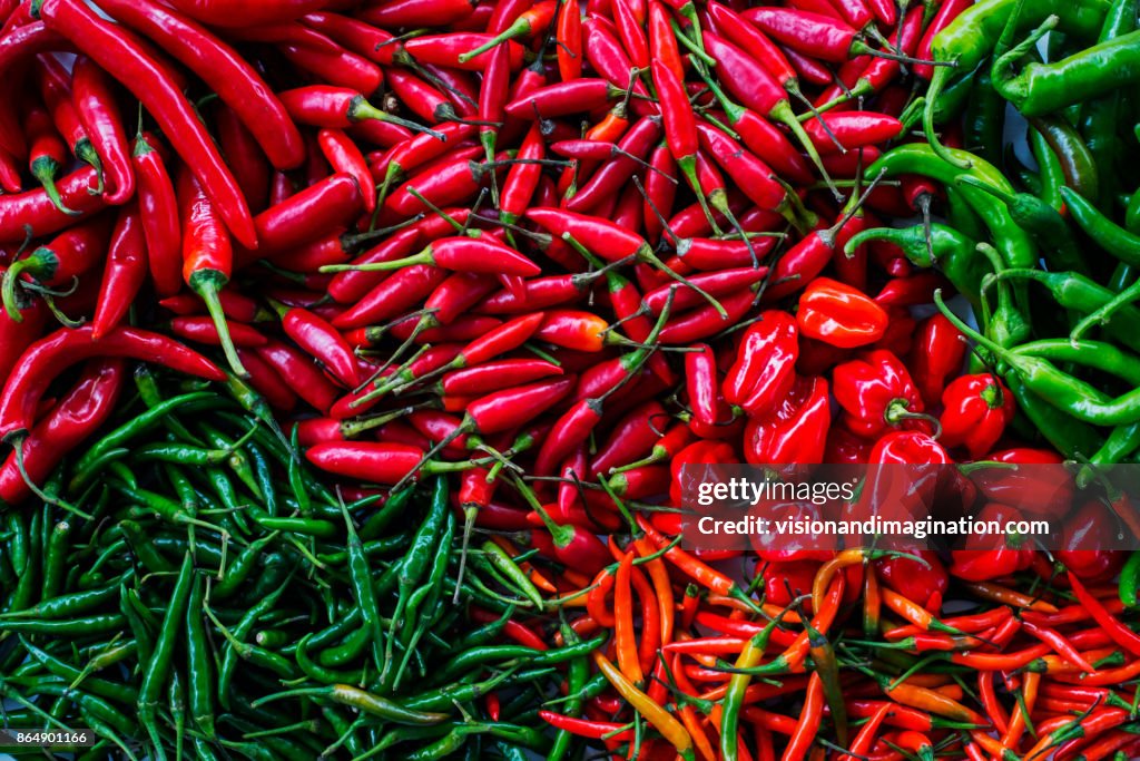 9 Chilly Chilly High-Res Stock Photo - Getty Images