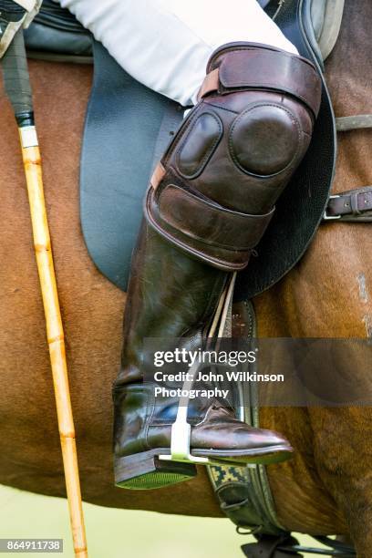 polo closeup of boot - polo horse stock-fotos und bilder