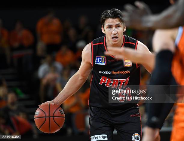 Damian Martin of the Wildcats dribbles the ball during the round three NBL match between the Cairns Taipans and the Perth Wildcats at Cairns...