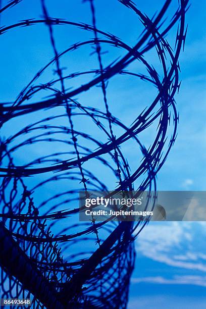 razor wire - razor wire stock pictures, royalty-free photos & images