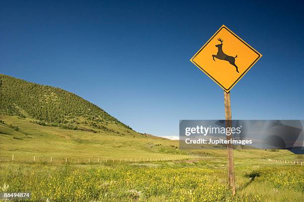deer crossing sign - deer crossing stock pictures, royalty-free photos & images