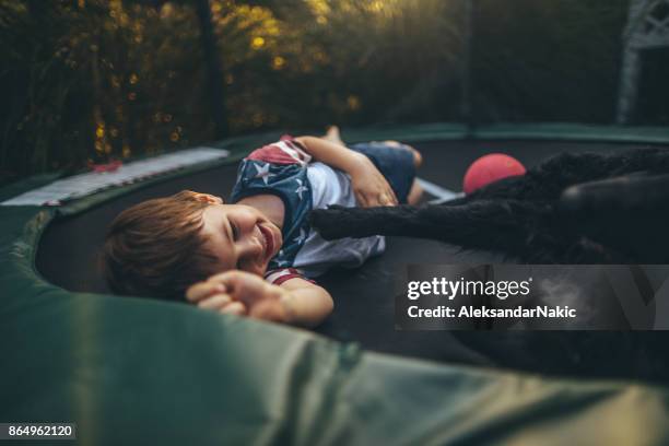 Jongen en zijn hond op een trampoline