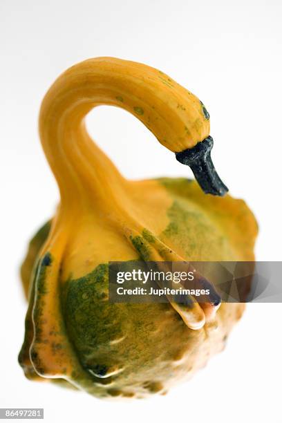 623 Bumpy Vegetable Stock Photos, High-Res Pictures, and Images - Getty ...