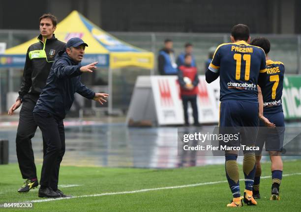 Head Coach of Hellas Verona Fabio Pecchia gestures during the Serie A match between AC Chievo Verona and Hellas Verona FC at Stadio Marc'Antonio...