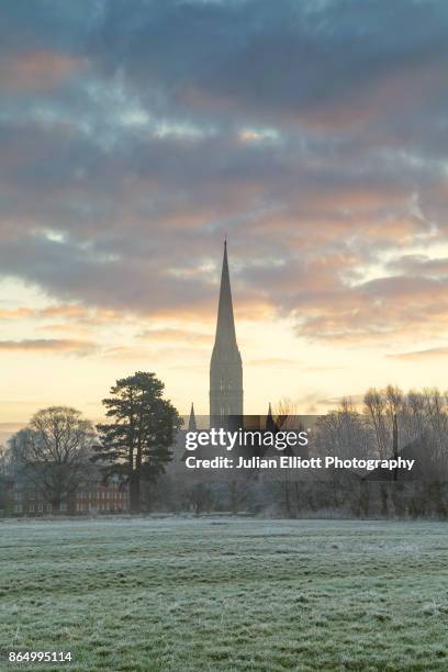 salisbury cathedral at dawn in salisbury, wiltshire. - salisbury cathedral stock pictures, royalty-free photos & images