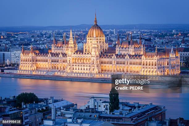 budapest parliament at night - castle ward stock pictures, royalty-free photos & images