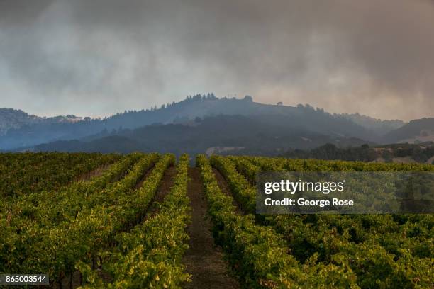 Smoke from the Pocket Fire, one of 12 fires burning in Wine Country, can be seen from the hills along Highway 128 in the Alexander Valley on October...