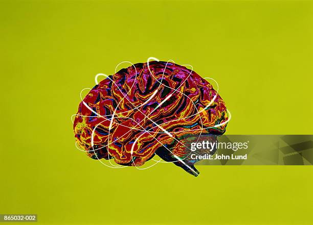 human brain, side view (digital composite) - digital composite ストックフォトと画像