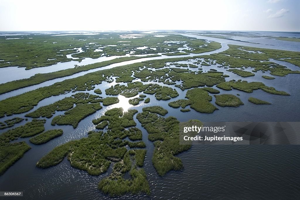 Aerial view of swamp in Louisiana