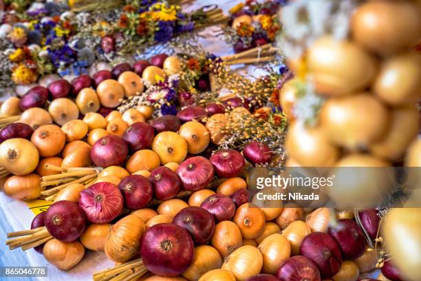trecce di cipolla nel mercato tradizionale di weimar, germania - weimar foto e immagini stock