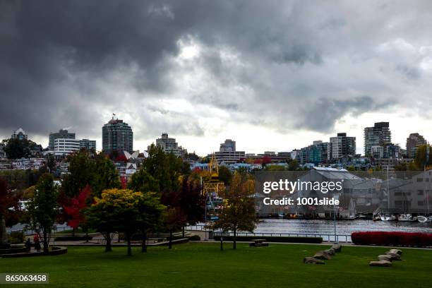 im herbst farbige ahornblatt vancouver - canadian maple trees from below stock-fotos und bilder