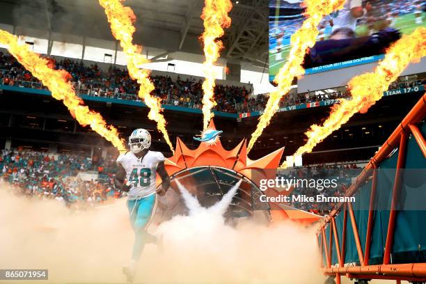 MarQueis Gray of the Miami Dolphins take the field during a game against the New York Jets at Hard Rock Stadium on October 22, 2017 in Miami Gardens,...