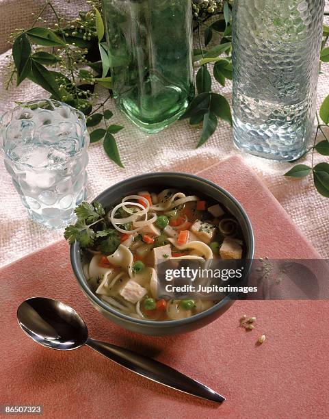 chicken noodle soup - sopa de pollo con fideos fotografías e imágenes de stock