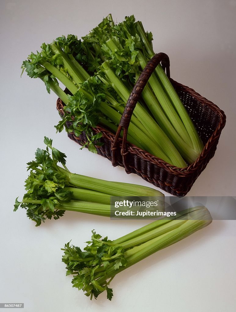 Bushels of celery