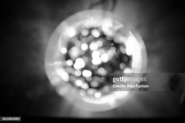 embryo - embryos stock pictures, royalty-free photos & images