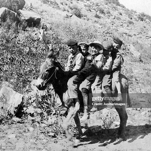 vintage image of children on donkey - ass six stock pictures, royalty-free photos & images
