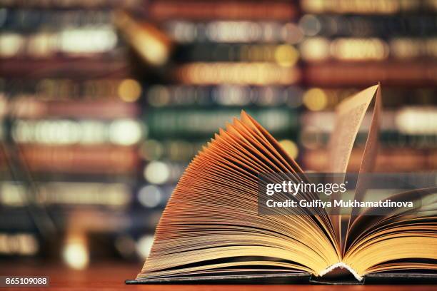 beautiful book - tarde imagens e fotografias de stock