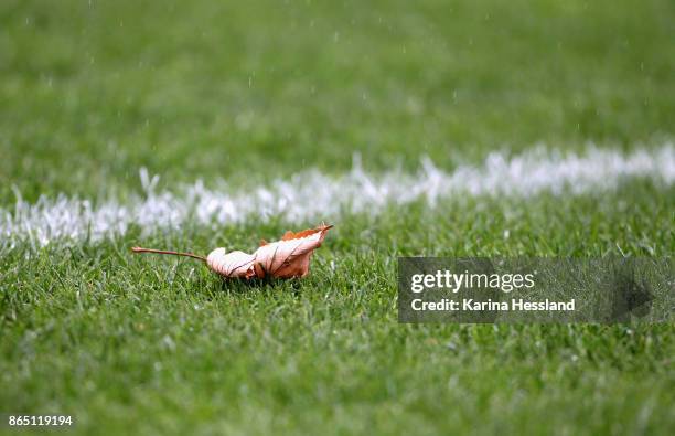 Leaf on the pitch / Feature during the 3.Liga match between FC Rot-Weiss Erfurt and Hallescher FC at Arena Erfurt on October 21, 2017 in Erfurt,...