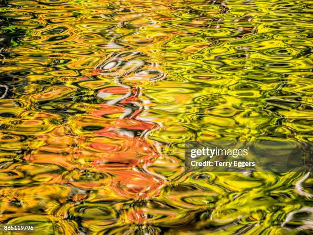 autumn reflections on council lake in hiawatha national forest michigan - hiawatha national forest stock-fotos und bilder