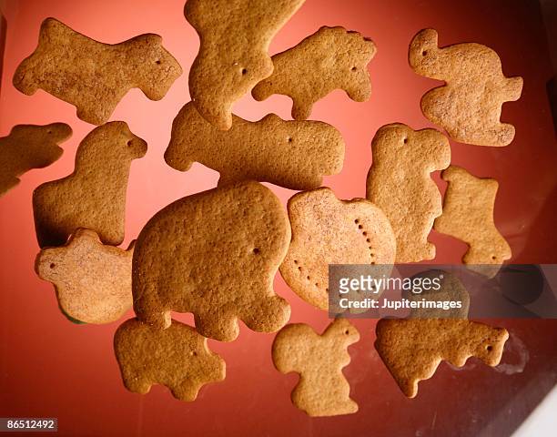 54 Animal Cracker Photos and Premium High Res Pictures - Getty Images