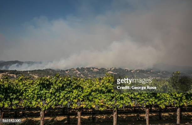 The Pocket Fire, a separate blaze burning northwest of The Tubbs Fire is viewed on October 11 in Geyserville, California. State officials are calling...