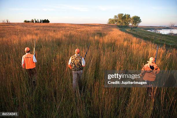 hunters walking through field - bird hunting stock pictures, royalty-free photos & images