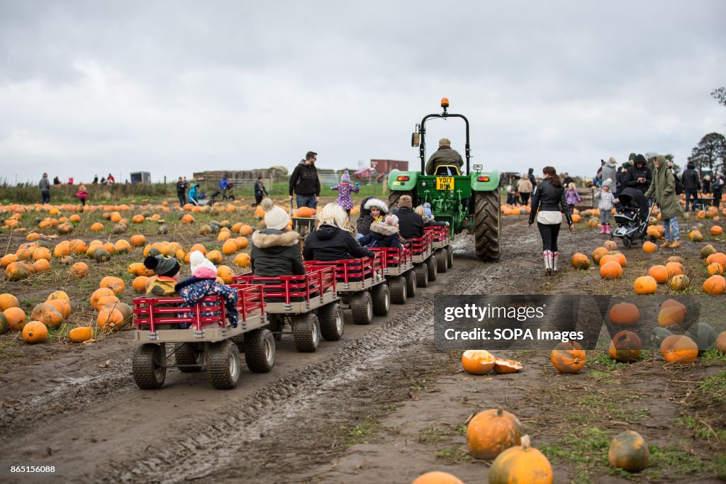 Families and their children having fun during the festival.