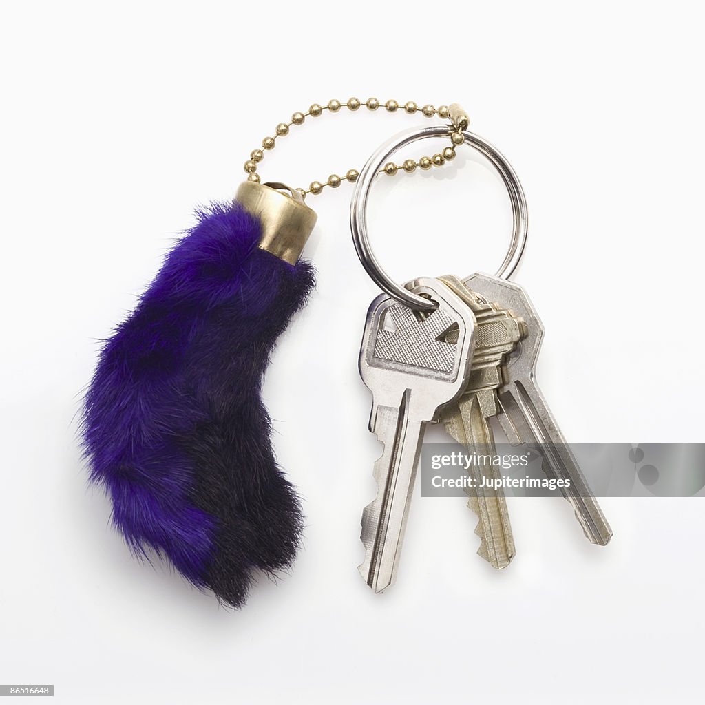 Rabbit foot key chain
