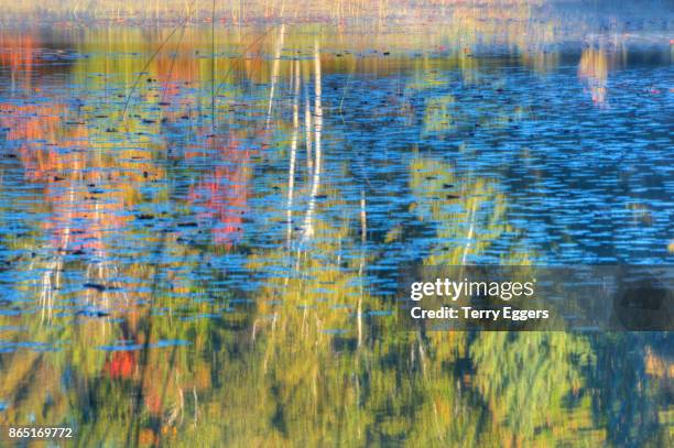 autumn reflections on council lake in hiawatha national forest michigan - hiawatha national forest stock-fotos und bilder