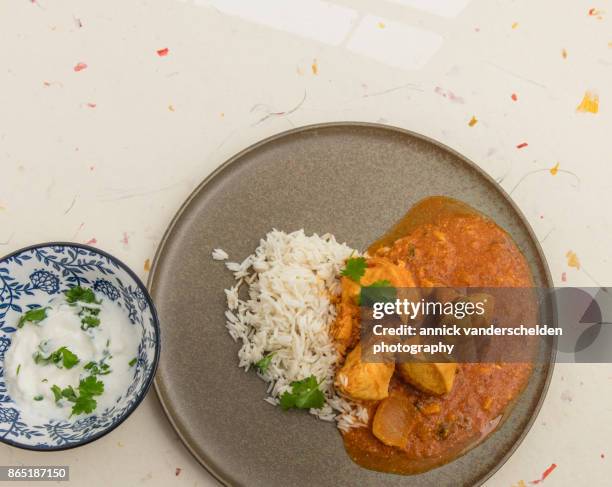 chicken curry, rice and cilantro. - sopa de curry - fotografias e filmes do acervo