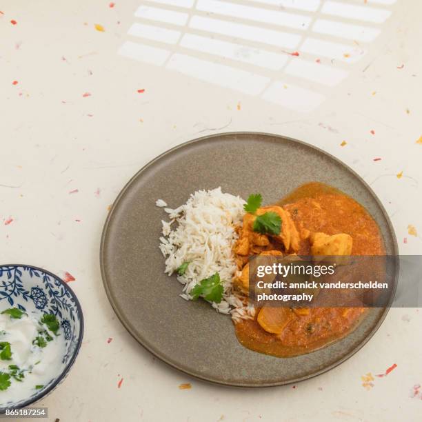 chicken curry, rice and yoghurt-cilantro mixture. - sopa de curry - fotografias e filmes do acervo